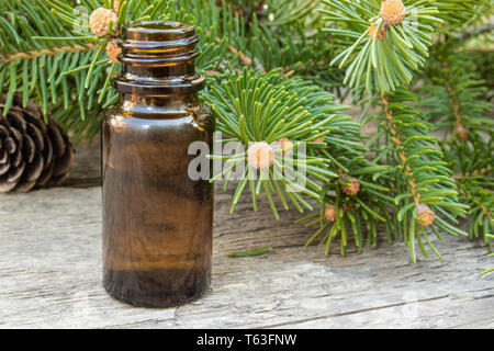 Pino olio essenziale in una piccola bottiglia marrone e rami di pino con boccioli verde al buio su un tavolo di legno Foto Stock