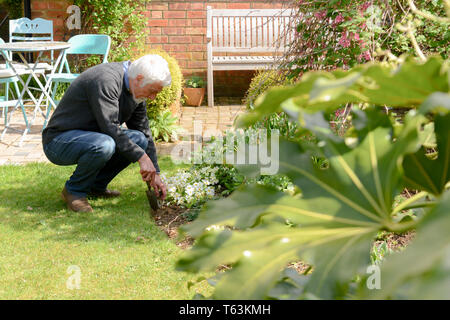 L'uomo piantare fiori e del giardinaggio al di fuori in una giornata di sole Foto Stock