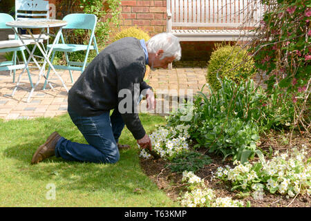 L'uomo piantare fiori e del giardinaggio al di fuori in una giornata di sole Foto Stock