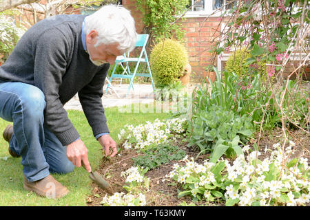 L'uomo piantare fiori e del giardinaggio al di fuori in una giornata di sole Foto Stock