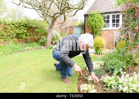 L'uomo piantare fiori e del giardinaggio al di fuori in una giornata di sole Foto Stock