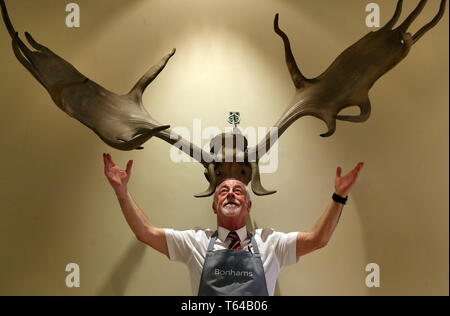 Danny McIlwraith da Bonhams con una coppia di Irish elk o gigante corna di cervo valutati tra £26000-£30000 che sono parte di Bonhams Sporting vendita che si svolge il 1 maggio a Edimburgo. Foto Stock