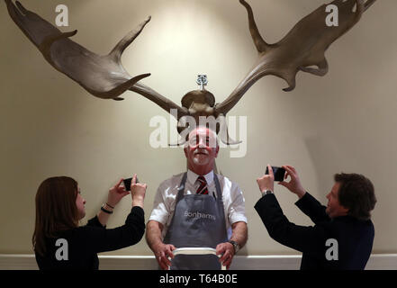 Danny McIlwraith da Bonhams è fotografato dal Georgia Williams e Hamish Wilson come egli sta accanto a una coppia di Irish elk o gigante corna di cervo valutati tra £26000-£30000 che sono parte di Bonhams Sporting vendita che si svolge il 1 maggio a Edimburgo. Foto Stock