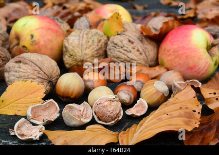 Le noci, le nocciole e le mele selvatiche miscelato con foglie di autunno sul vecchio, grunge tavolo in legno di quercia, vista ravvicinata Foto Stock