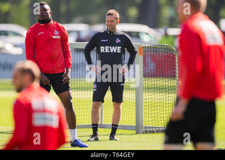 Colonia, Germania. 29 apr, 2019. Andre Pawlak (M), il nuovo allenatore di calcio secondo league team 1. FC Köln, sorge accanto al Jhon Cordoba durante la formazione a Geißbockheim. Credito: Rolf Vennenbernd/dpa/Alamy Live News Foto Stock