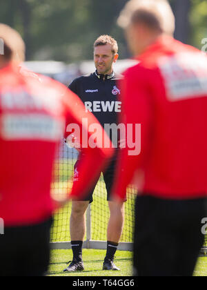 Colonia, Germania. 29 apr, 2019. Andre Pawlak, nuovo allenatore di calcio di seconda divisione team 1. FC Köln, è a passo durante la formazione a Geißbockheim. Credito: Rolf Vennenbernd/dpa/Alamy Live News Foto Stock