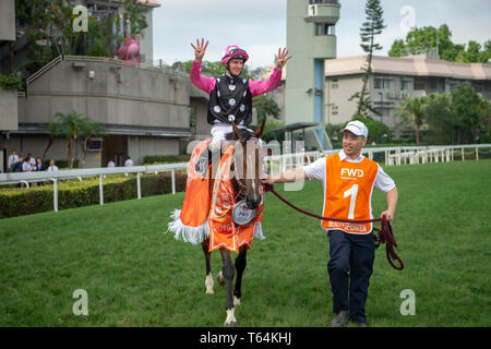 Aprile 28, 2019 - Hong Kong, U.S. - SHA TIN, Hong Kong â€" 25 aprile: bellezza Generatiion a propri lavori sul 25 aprile a Sha Tin Race Course a Hong Kong prima di iniziare la FWD Champions miglio. Michael McInally/Eclipse Sportswire/CSM Foto Stock