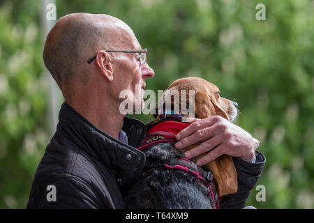 Oxford Giornata mondiale per gli animali nei laboratori. Diritti degli animali attivista Mel Broughton holding Scarlett, un salvato beagle, che ora conduce una vita felice. Foto Stock