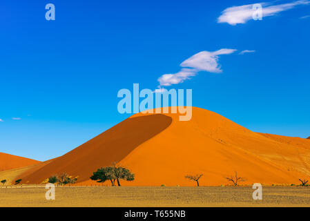 Le dune 40 in Sossusvlei, Namib Naukluft National Park, Namibia Foto Stock