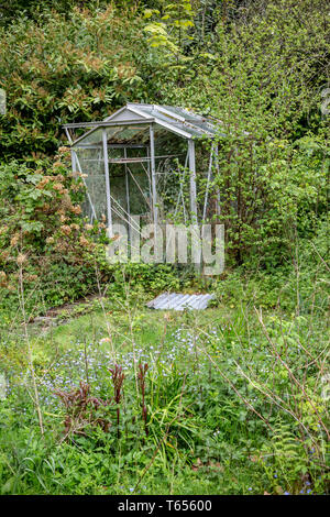 Abbandonata, Orto, ricoperta, Edificio Esterno, Serra, 2015, struttura integrata, fiore, Vetro - Materiale, erba, colore verde, orizzontale Foto Stock