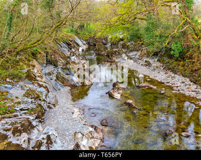 Chiara, basso fondale del fiume Mawddach, in Gwynedd, Galles, scorre dolcemente rotondo e su rocce tra alberata banche. Foto Stock