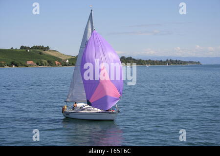 Il lago di Costanza, Alpine foreland, Germania meridionale Foto Stock