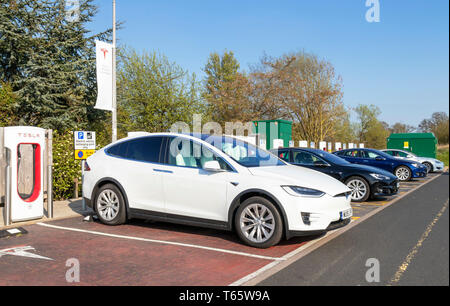 White Tesla model X auto elettrica la carica a Tesla auto elettrica stazione di ricarica con altri tesla, Hopwood stazione di servizio Birmingham REGNO UNITO GB Europa Foto Stock