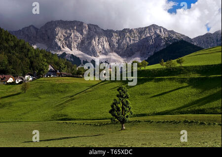 La gamma della montagna Koschuta come visto da Zell, Carinzia, Austria Foto Stock