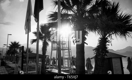 Foto in bianco e nero dei primi raggi di sole che splende attraverso palme sulla spiaggia del mare Foto Stock