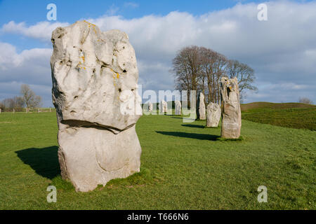 Dettagli di pietre e dintorni nella preistoria Avebury Stone Circle, Wiltshire, Inghilterra, Regno Unito Foto Stock