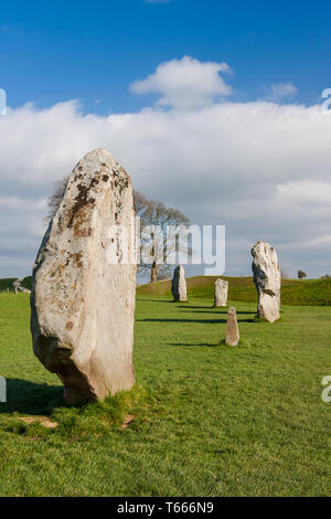 Dettagli di pietre e dintorni nella preistoria Avebury Stone Circle, Wiltshire, Inghilterra, Regno Unito Foto Stock