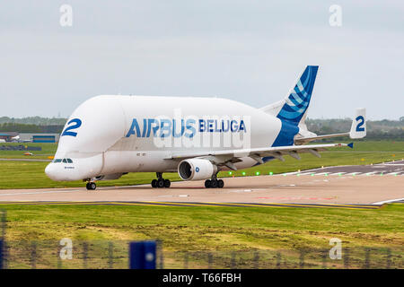 Airbus trasporti aerei Beluga numero 2 in corrispondenza di Hawarden airport. Foto Stock