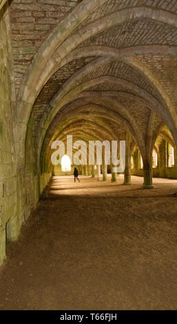 Fountains Abbey, Yorkshire, Regno Unito Foto Stock