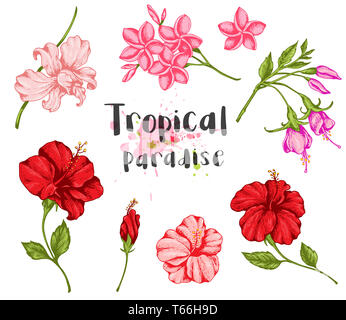 Set di vintage fiori tropicali. Disegnata a mano illustrazione. Foto Stock