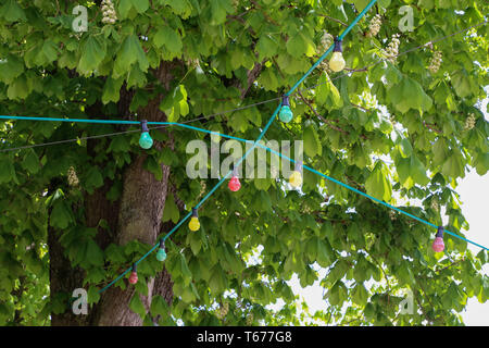 Ghirlande di luce colorata sulla pista da ballo nel parco della città. Foto Stock