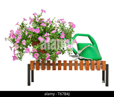 Petunia rosa fiori in vaso con giardino accessori. Foto Stock