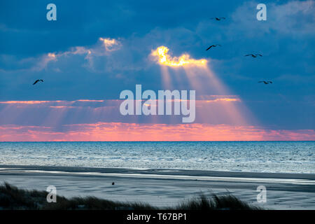 Isola del Mare del Nord Juist, Frisia orientale, dune, Spiaggia, Tramonto, Bassa Sassonia, Germania, Foto Stock