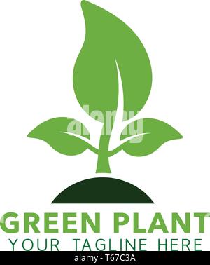 Pianta verde logo. Vettore modificabile EPS. Illustrazione Vettoriale