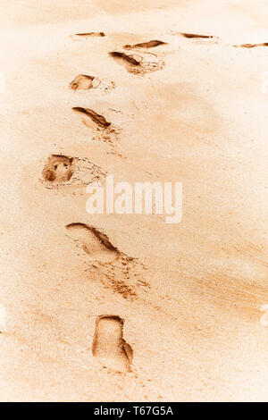 Sandy orme lasciate in spiaggia. Foto Stock