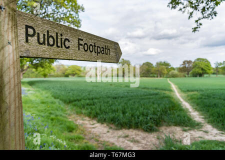 Vista ravvicinata di un sentiero pubblico segno su Surrey, Regno Unito. Il fingerpost di punti a un percorso fangoso che attraversa un campo per alberi in lontananza sotto le nuvole. Foto Stock