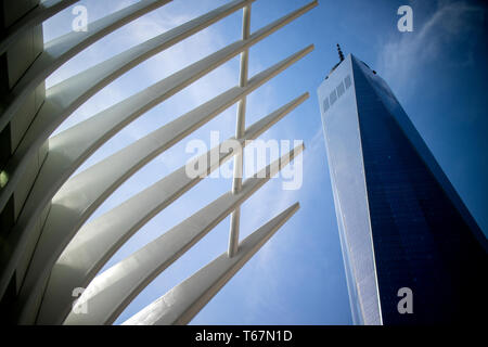 L'occhio, progettato dall'architetto spagnolo Santiago Calatrava a livello nazionale 11 Settembre Memorial Plaza nel centro cittadino di New York. L'occhio copre l'atrio e il centro commerciale che si collega al percorso in treno e metropolitana come pure il museo 9/11. Foto Stock