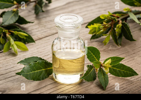Bacche di alloro olio essenziale su sfondo di legno. Olio alloggiamento sulla bottiglia di vetro . Laurus nobilis Foto Stock