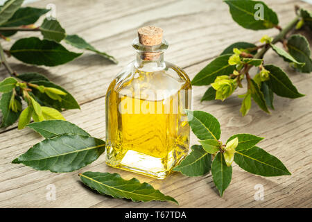 Bacche di alloro olio essenziale su sfondo di legno. Olio alloggiamento sulla bottiglia di vetro . Laurus nobilis Foto Stock