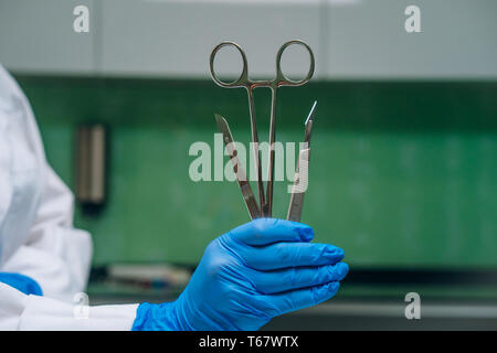 Una gomma guanti contiene due bisturi e un morsetto Foto Stock