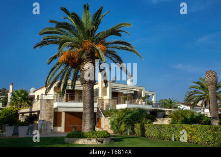 Moderna villa, casa residenziale con palme in Pefkochori, Kassandra, Grecia Foto Stock