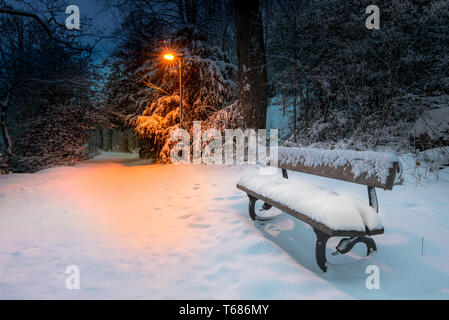 Una panchina nel parco è coperto di neve circondato da alberi e il bagliore arancione di un lampione nelle prime ore del mattino la luce blu Foto Stock