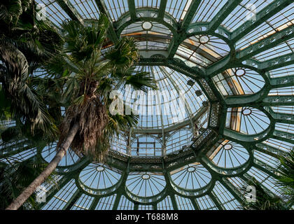 Tetto a cupola del giardino d'inverno, presso le Serre Reali di Laeken. L'inverno case giardino delle palme, felci ed esotiche piante tropicali Foto Stock