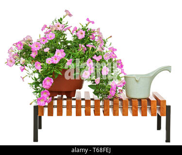 Petunia rosa fiori in vaso con giardino accessori. Foto Stock