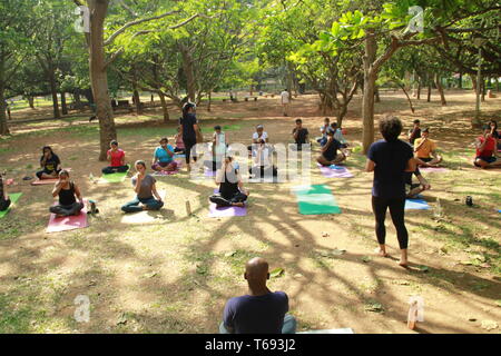 I giovani indiani fare yoga in Cubbon Park, Bangalore, India Foto Stock