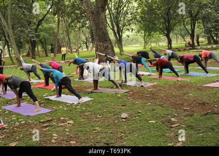 I giovani indiani fare yoga in Cubbon Park, Bangalore, India Foto Stock