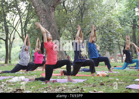 I giovani indiani fare yoga in Cubbon Park, Bangalore, India Foto Stock