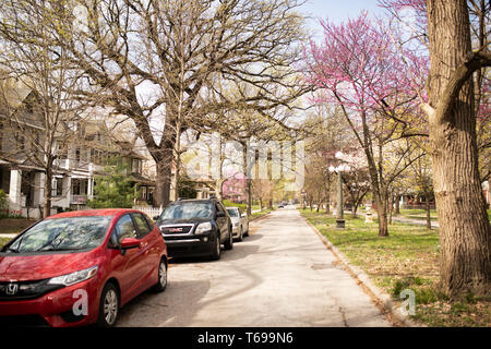 La molla di alberi in fiore nel quartiere storico di Woodruff posto a Indianapolis, Indiana, Stati Uniti d'America. Foto Stock