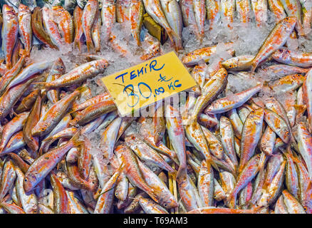 Triglia di scoglio o triglia di fango per la vendita su un mercato ad Istanbul in Turchia Foto Stock