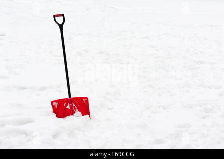 Rosso pala in plastica con maniglia nera bloccato nella neve soffice. Foto Stock