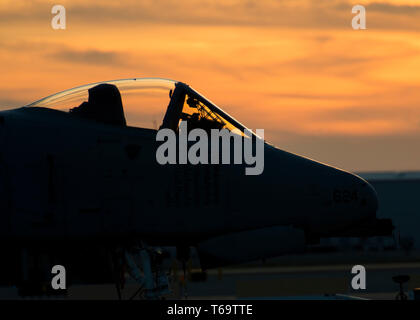 Un A-10 Thunderbolt II con la 190Fighter Squadron è parcheggiato sulla rampa dopo un allenamento sortie 25 aprile 2019 a Boise, Idaho. La 190fs è stata la partecipazione in attività di formazione con lo Strike Fighter Squadron 32 dalla Naval Air Station Oceana, Virginia Beach, Virginia. (U.S. Air National Guard foto di Airman 1. Classe Mercedee selvagge) Foto Stock