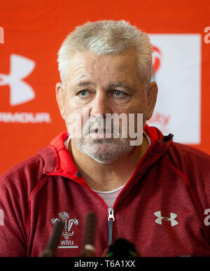 Hensol, Wales, Regno Unito, 30 aprile 2019. Capo allenatore del Galles nazionale di rugby, Warren Gatland durante una conferenza stampa per annunciare il suo 2019 Coppa del Mondo di Rugby formazione squad. Credito: Mark Hawkins/Alamy Live News Foto Stock