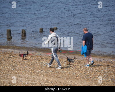 Sheerness, Kent, Regno Unito. Il 30 aprile, 2019. Regno Unito Meteo: un pomeriggio soleggiato in Sheerness, Kent oggi. Credito: James Bell/Alamy Live News Foto Stock
