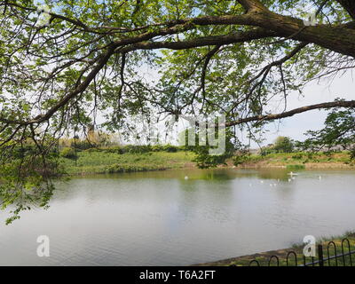 Sheerness, Kent, Regno Unito. Il 30 aprile, 2019. Regno Unito Meteo: un pomeriggio soleggiato in Sheerness, Kent oggi. Credito: James Bell/Alamy Live News Foto Stock