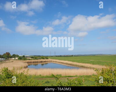 Elmley, Kent, Regno Unito. 30 apr, 2019. Regno Unito Meteo: un soleggiato e caldo pomeriggio in Elmley, Kent. Credito: James Bell/Alamy Live News Foto Stock