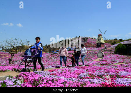 Tangshan cinese nella provincia di Hebei. 30 apr, 2019. Turisti visitano Yuhuagu scenic area nella contea di Qianxi in Tangshan, nel nord della Cina di nella provincia di Hebei, Aprile 30, 2019. Credito: Li Shaohua/Xinhua/Alamy Live News Foto Stock